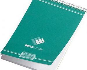 BLOC STENO A4 100 P 80G