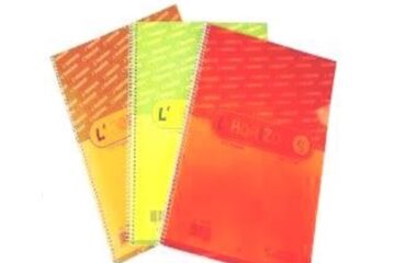 CAHIER SPIRAL HORIZON 70 GR  5×5 300 PAGES