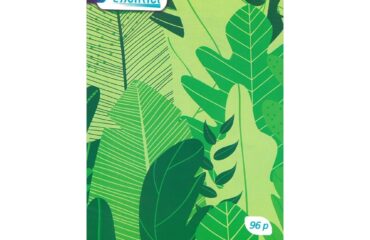 CARNET PIQUE N°4 96P 60G ESSENTIEL