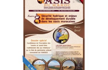 SECURITE HYDRIQUE ET ENJEUX DE DEVELOPPEMENT DURABLE DANS LES OASIS MAROCAINES