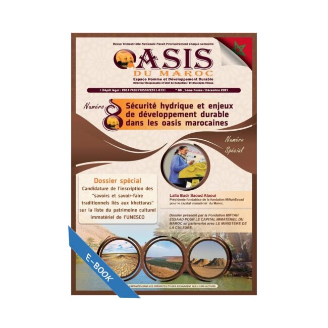 SECURITE HYDRIQUE ET ENJEUX DE DEVELOPPEMENT DURABLE DANS LES OASIS MAROCAINES